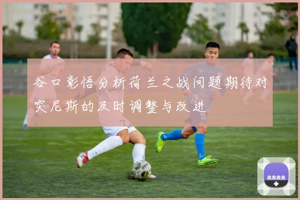 谷口彰悟分析荷兰之战问题期待对突尼斯的及时调整与改进